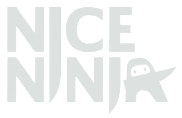 nice ninja logo